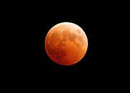 Amavasya List Of 2025