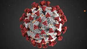 HMPV Virus Fatality Rate Revealed by China's CDC
