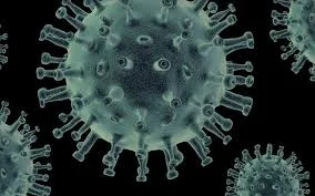 Symptoms of HMPV ? Chania's New Virus and Precautions ?