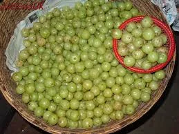 amla